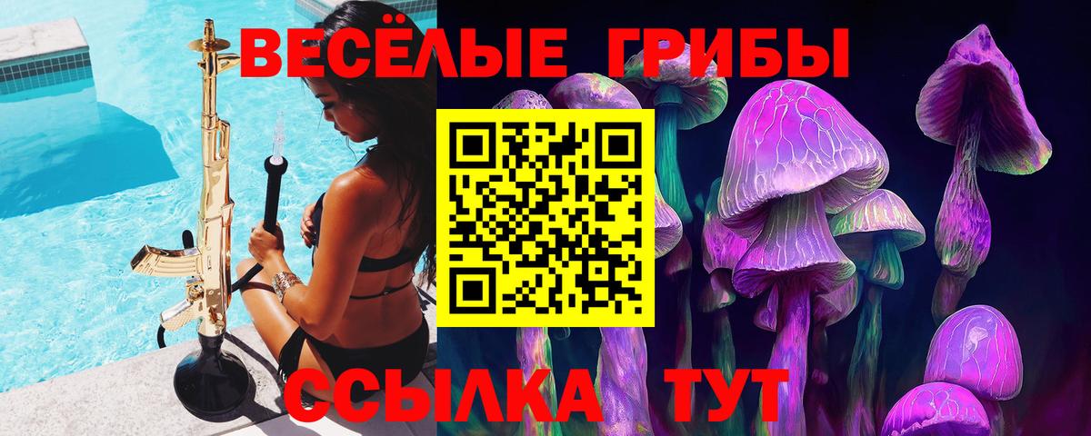 Псилоцибиновые грибы GOLDEN TEACHER Касимов